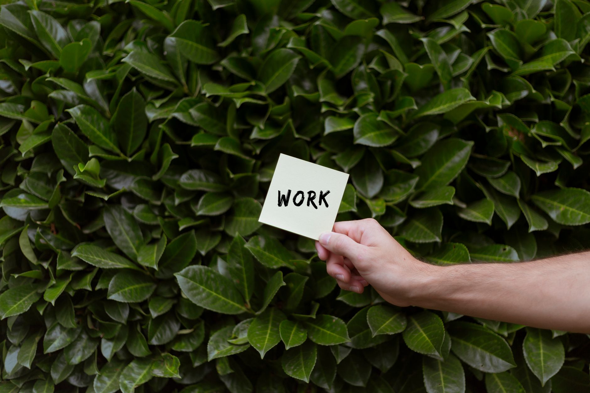Green Industry Careers: Lucrative Eco-Friendly Jobs Transforming Tomorrow’s Economy